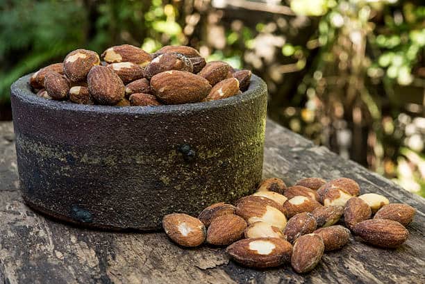 تصویر 2 از خرید بادام درختی منقا + فروش ویژه